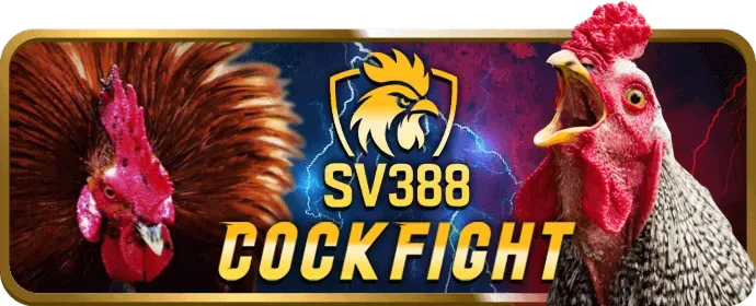 Chương Trình VIP Đá Gà